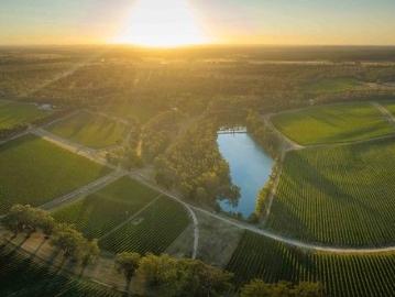 Multi award winning vineyard located on the premium Goulburn River flats