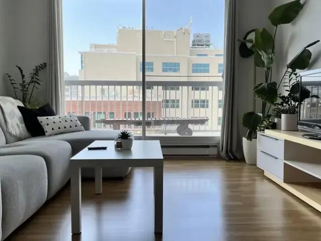 Multi Family 1 Bedroom For Rent Quebec QC 1095 ES90784433