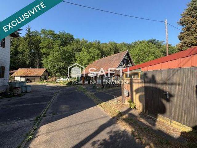 Multi Family Chatenois Alsace 67730 DLS105764536