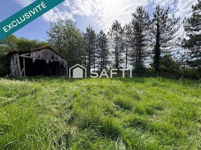 Multi Family Beaupouyet Aquitaine 24400 DLS104371672