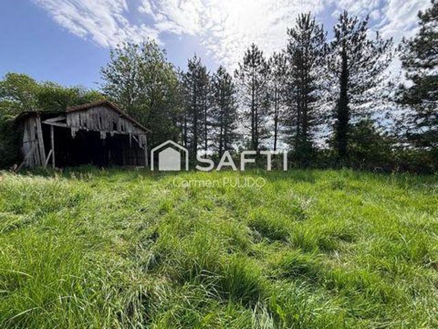 Multi Family Beaupouyet Aquitaine 24400 DS103492011