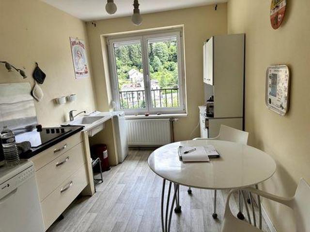 Multi Family Plombieres Lorraine 88370 DS103415523