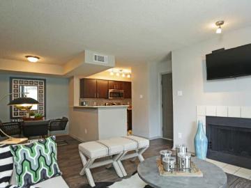 Dallas TX, Dallas County, Texas, Texas, USA