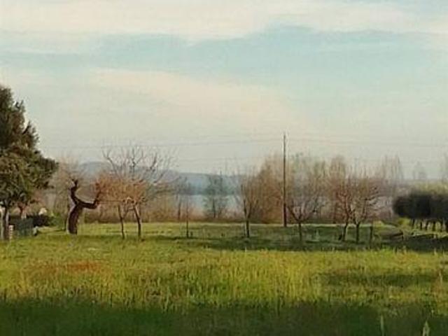 Multi Family Tuoro Sul Trasimeno Umbria DLS96308977