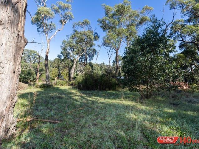 Multi Lot Opportunity with Front & Rear Access Lot 10