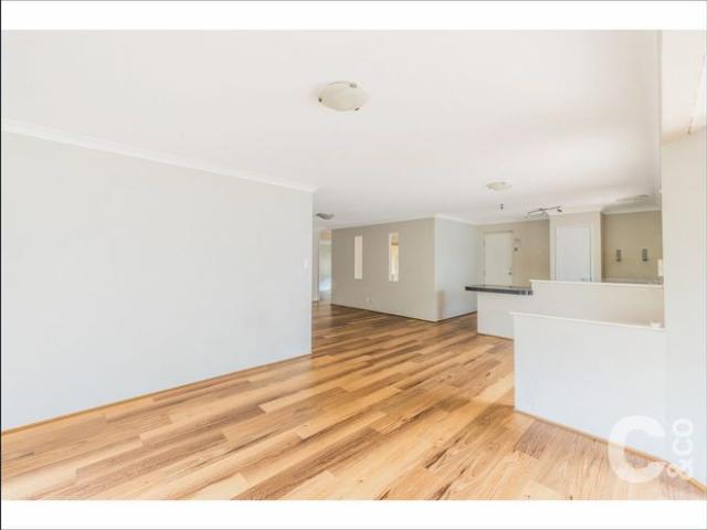 Multiple Living Areas, Massive Backyard & Side Access!