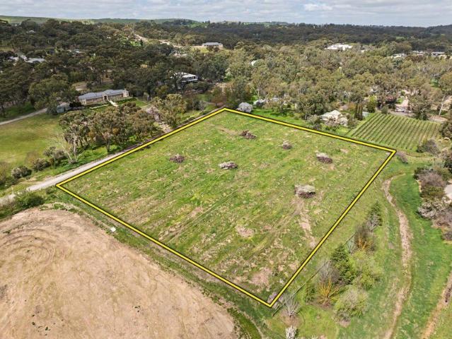 Multiple Possibilities on Main North Road!