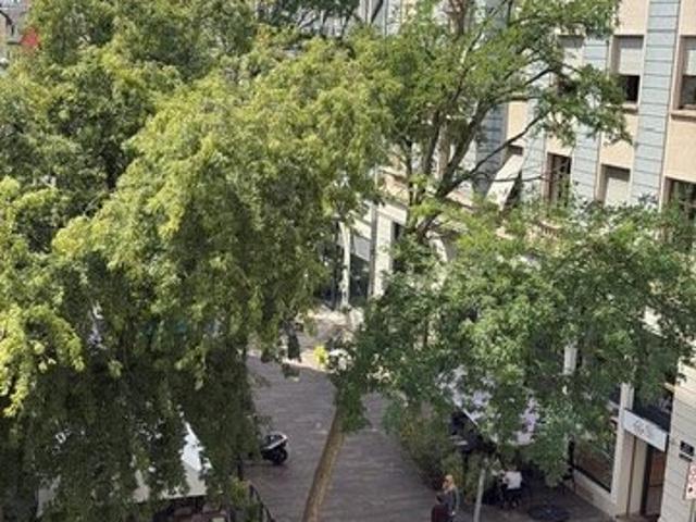Mulhouse, centre vile, lumineux appartement 128m2 278000€ 126m² Mulhouse