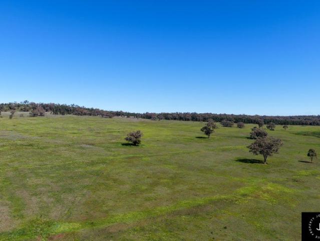 MULLALEY GRAZING COUNTRY WITH BIODIVERSITY POTENTIAL