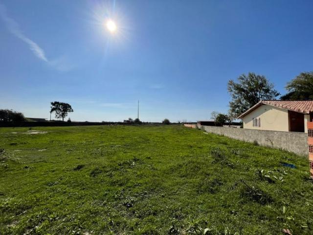 Murtosa Murtosa 105978359