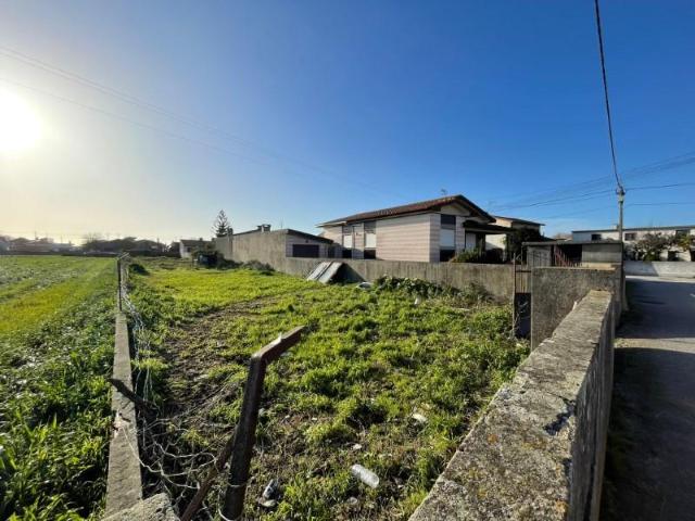 Murtosa Murtosa 87243000