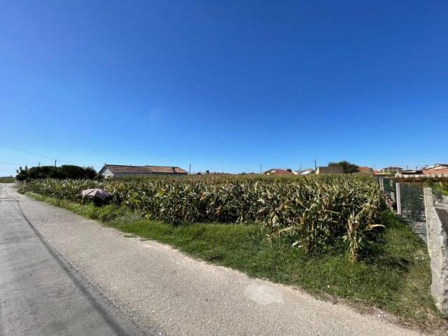 Murtosa Murtosa LS94747939