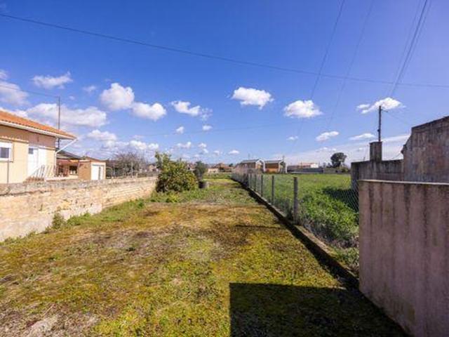Murtosa Aveiro 105078635