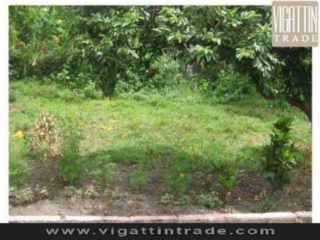 Murang Residential Lot Brgy. Camambugan, Daet, Camarines Norte