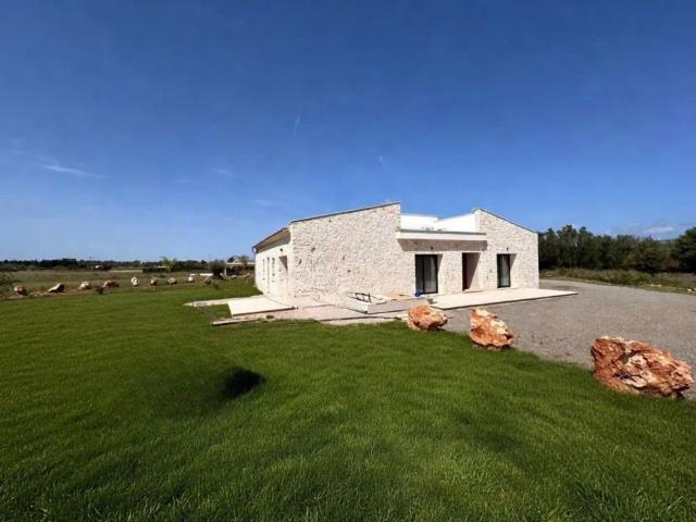 Muro