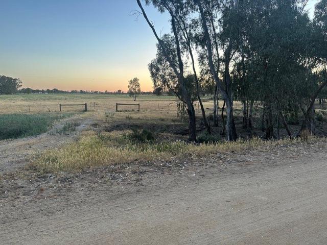 Murray River Lifestyle Block