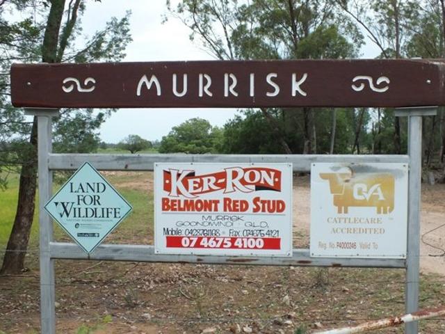 Murrisk