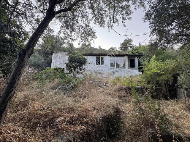 Mustafa Kayaalp'ten Satılık Köy Evi Ve Zeytinlik