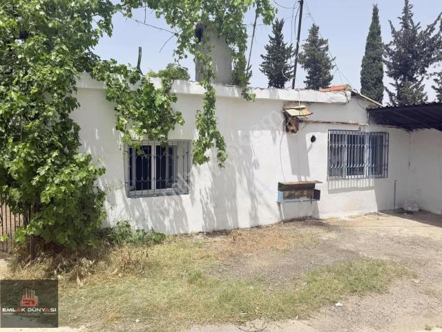 Mustakil Bahçeli Kiralık Daire