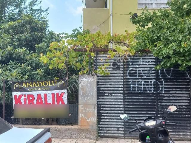Müstakil Doğalgazlı 3+1 Kiralık