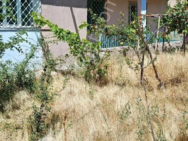 Müstakil Ev