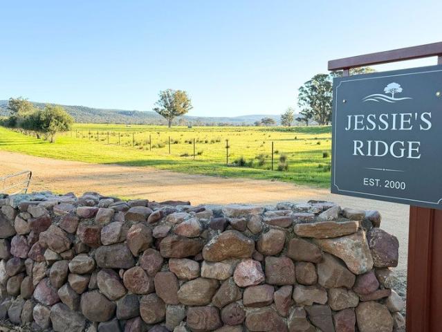 Muti Purpose Rural Holding with Development Potential