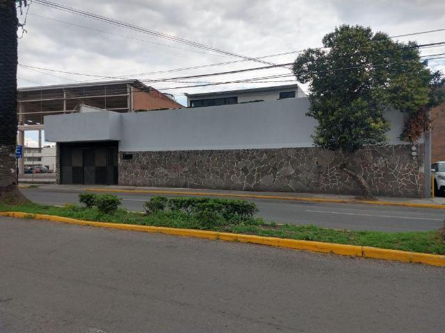 MUY COMERCIAL CALLE HIDALGO VENTA Y RENTA