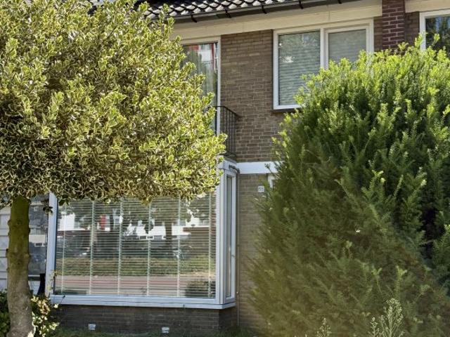 Muzenlaan, Eindhoven