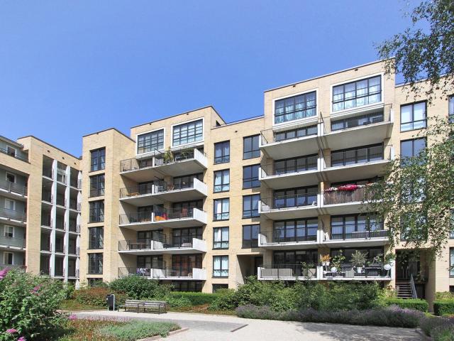 MVGM Te huur: Afroditekade 71, amsterdam