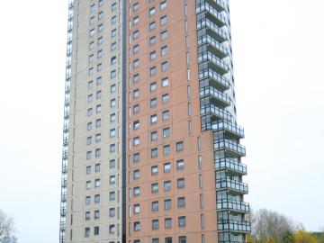 De Esch, Gemeente Rotterdam, Gemeente Rotterdam, Zuid-Holland