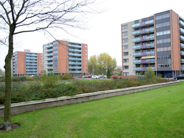 MVGM Te huur: Hoge filterweg 234, rotterdam