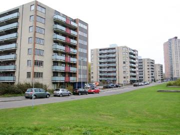 De Esch, Gemeente Rotterdam, Gemeente Rotterdam, Zuid-Holland