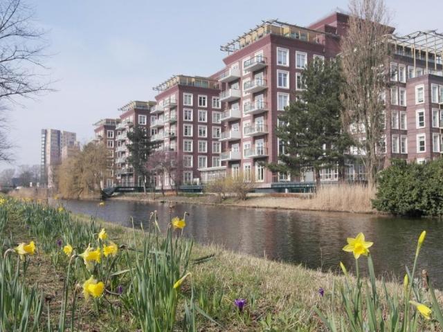 MVGM Te huur: Molenwerf + ppl 107 10 b8, amsterdam