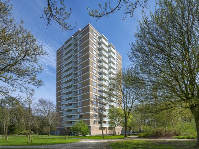 MVGM Te huur: Staalmeesterslaan 72, amsterdam