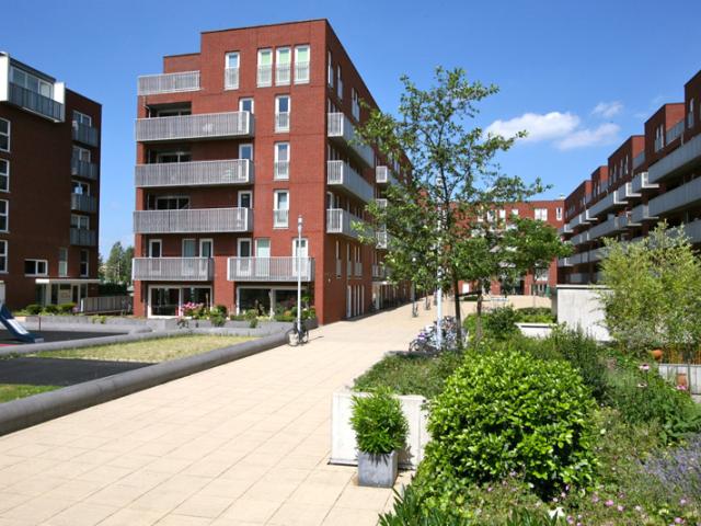 MVGM Te huur: Rolderdiephof 6, utrecht