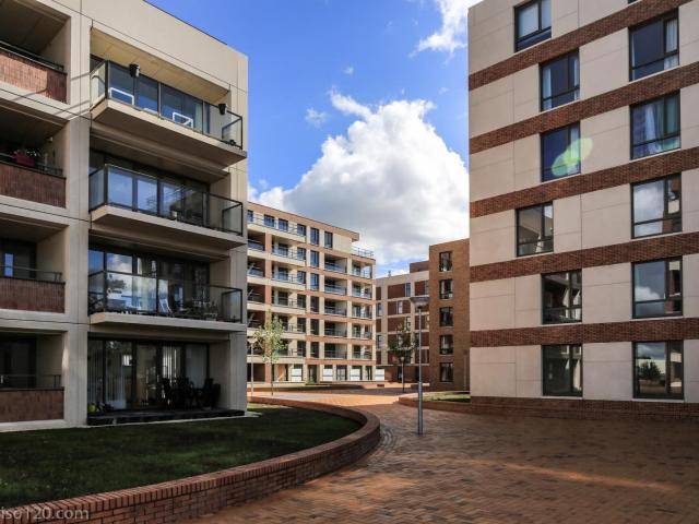 MVGM Te huur: Teakhout 218, zaandam