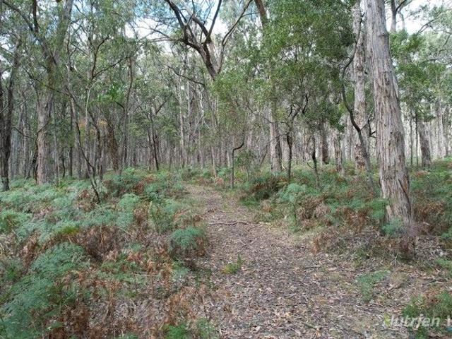 Myamyn West A Conservation Opportunity