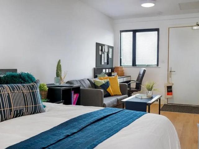 Myrtle Parade Studio to rent £910 pcm £210 pw