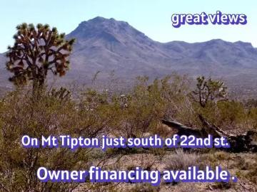 N Mt Tipton Dr, Dolan Springs, AZ 86441 MLS 032828