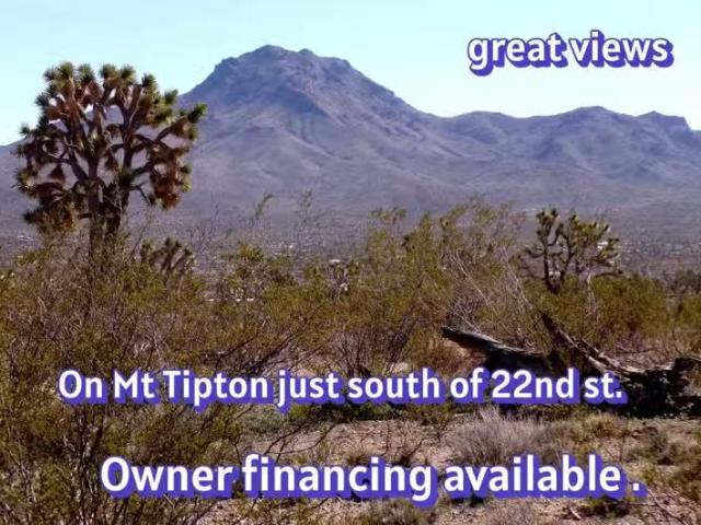 N Mt Tipton Dr, Dolan Springs, AZ 86441 MLS 032828