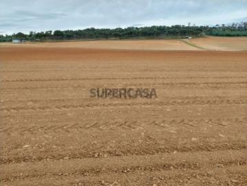 Não urbanizável em Cabeço de Vide