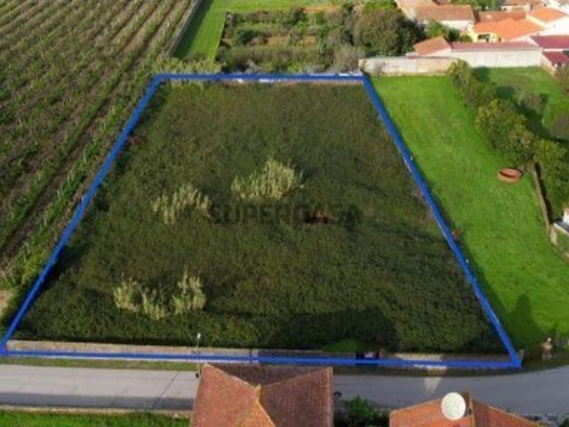 Não urbanizável em Amoreira da Gândara, Paredes do Bairro e Ancas