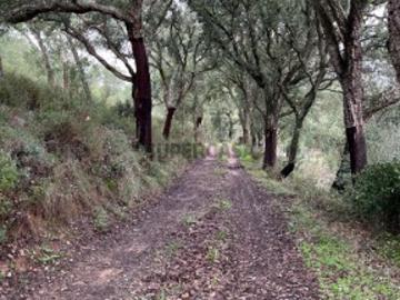 Não urbanizável em Alcanena e Vila Moreira