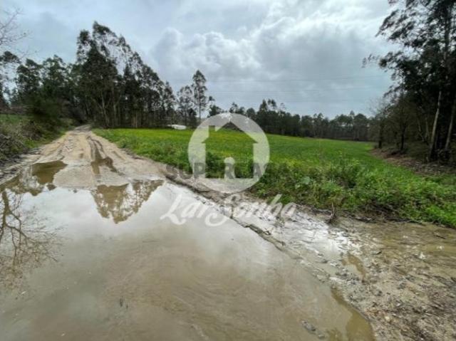 Não urbanizável em Balazar