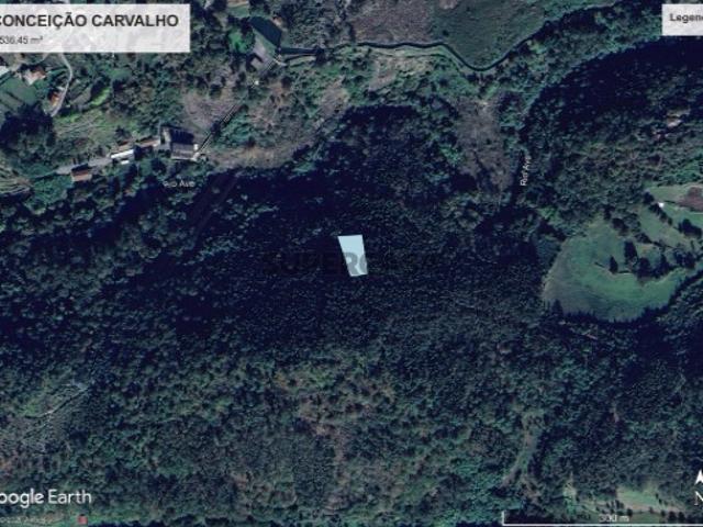 Não urbanizável em Guilhofrei
