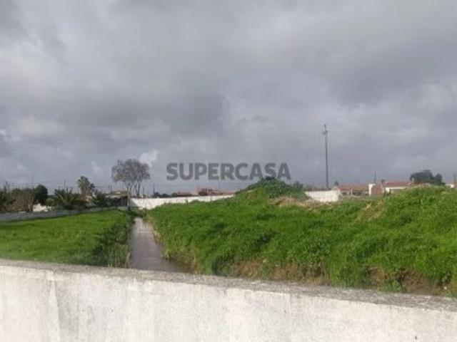 Não urbanizável em Marinhais