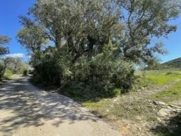 Não urbanizável em Santa Bárbara de Nexe