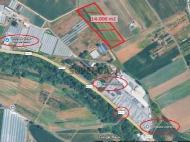 Não urbanizável em Sé Nova, Santa Cruz, Almedina e São Bartolomeu
