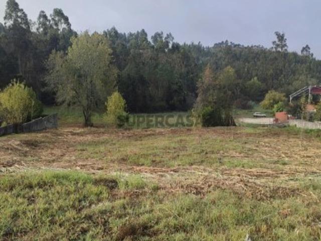 Não urbanizável em Vagos