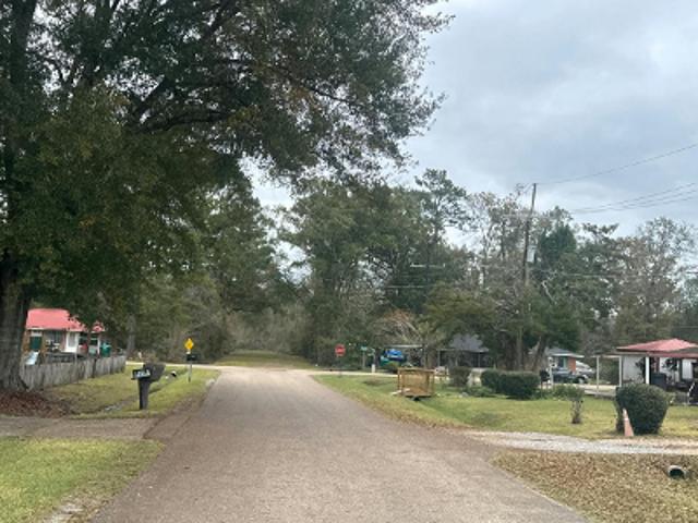 N Dryades St